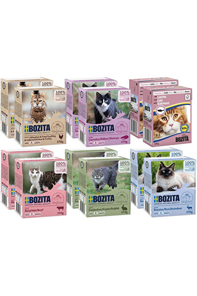 Bozita Hrană umedă pentru pisici Bucăți de carne în sos MIX DE AROME 12x370g