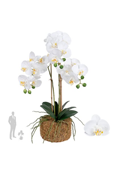 Roberto Rossi Orhidee artificiala alba cu aspect H55 cm cu 3 tulpini
