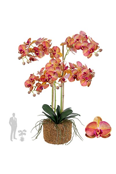 Roberto Rossi Orhidee artificiala grena cu galben cu aspect H69 cm cu 5 tulpini