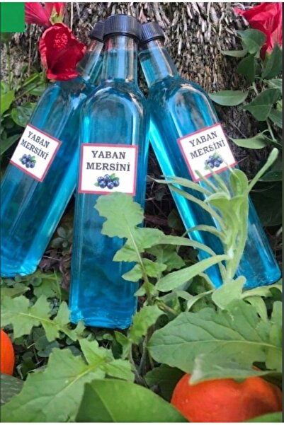 DOĞALINDAN DALINDAN %100 YABAN MERSİNİ ÖZÜ 700 Ml.