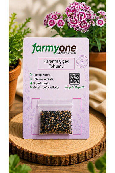 farmyone Çin Karanfili Çiçek Tohumu 100 Adet