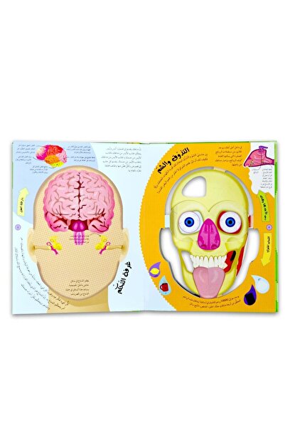 world accessories The Human Body from the Outside to the Inside