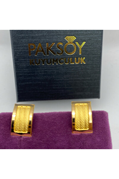 paksoy kuyumculuk 22 Ayar Küpe 1.98gr - K01154