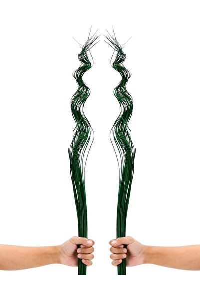 OEM Frunze de palmier uscate Ramuri Umplutură pentru Vaze 2 buc Verde 100 cm