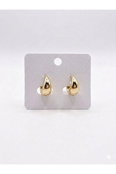 Bujiteri Steel Earrings