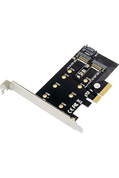 POWERTECH Ελεγκτής PCIe με 2 θύρες M.2 Κωδικός: ST59