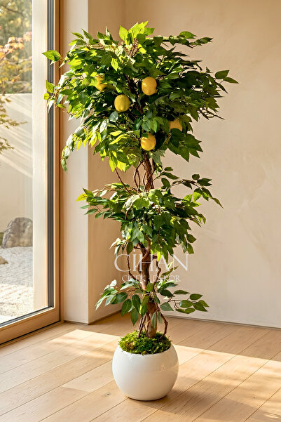 Cihan Çiçekçilik Yapay Limon Ağacı 180 cm - 6 Limonlu Beyaz Küre Saksılı 27x3...