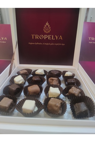 Toros Kadın Ejder Meyveli Lokum Dolgulu Çikolata (16'lı 230gr) / Yarının Köyleri
