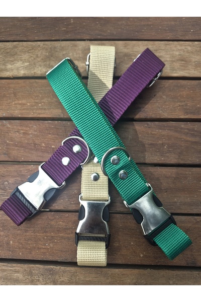 Loyal Friend Store Köpek boyun tasma 35cm 55cm 3lü set