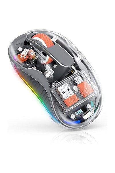 DAMUR Ασύρματο Ποντίκι, Διπλό Bluetooth, 2.4 GHz, Πολλαπλών Συσκευών, USB-C, ...