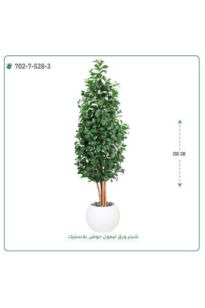 OEMS شجر ليمون صناعي حوض بلاستيك { ارتفاع 200 سم }