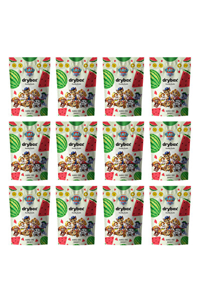 DRYBOX Watermelon Chips 34g 12-Pack - 100% Natural Crispy Healthy Snack