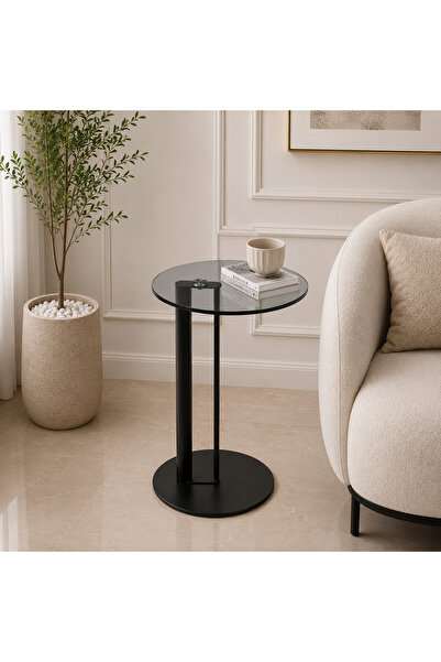 N.zone Modern Side Table with a Smoked Glass Top and Stylish Metal Base for D...