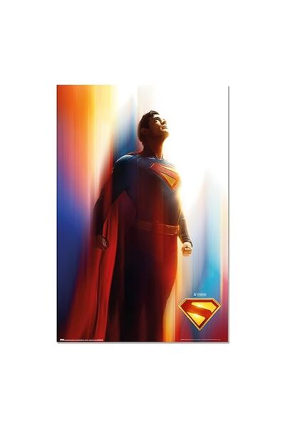 ESSESORIES DC Comics Superman Shipped Movie Poster Wall Art Room Decor Self A...