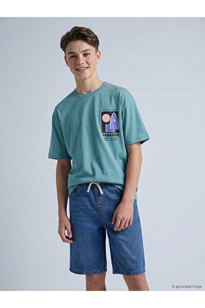 LC Waikiki Crew Neck T-Shirt for Boys