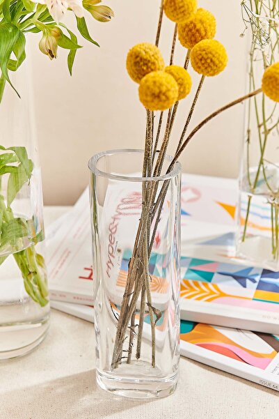 Paşabahçe Mini Ellipse Vase, Stylish Decorative Vase