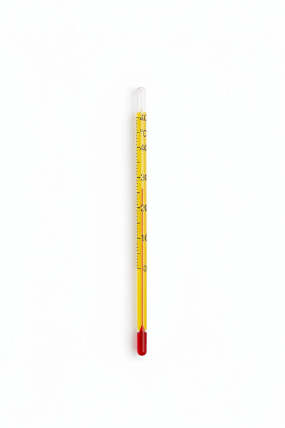 China Glass Submersible Aquarium Thermometer with Suction Cup