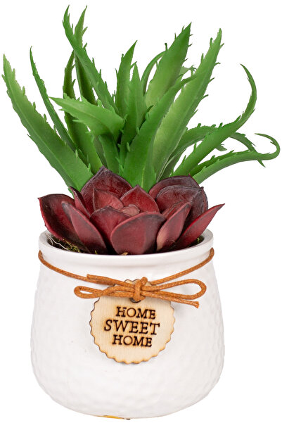Herdekora Succulent Arrangement in Ceramic White Pot Burgundy-Green 13X17 Cm.