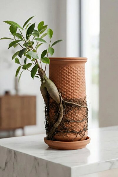 Reyo Canlı Saksı | Hidroponik El Yapımı Topraksız Saksı, Terracotta Saksı, Do...