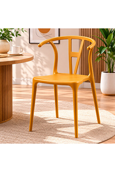 Palma homez Multi-Color Dining Chair Modern Light Luxury Design Style