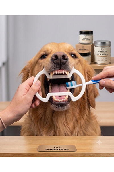 BaBaWoSs Köpek Diş Fırçalama Ve Muayene Aparatı - Pratik Ağız Açıcı Sağlık Or...