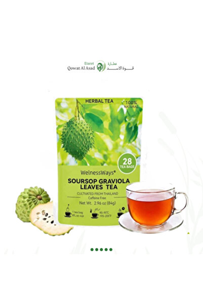 WelnessWays Soursop (Graviola) Tea 28 Bags – Natural Leaves