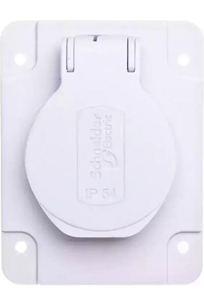 Schneider Electric Priză electrică gri 1 buc.