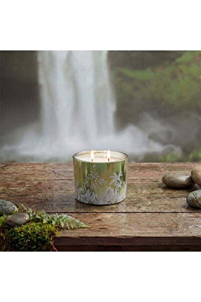Danube Home Pine Eucalyptus Scented Candle 220g Jar Candle Long Lasting Home ...