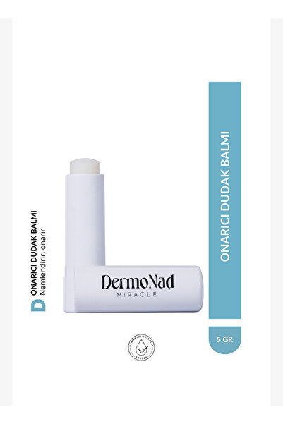DermoNad Lip Balm Repairing Moisturizer 5 Mg (She Butter, Vitamin E, Coconut ...