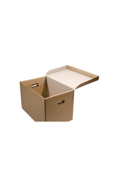 MC Micostore Container arhivare PAFF CA399-3N, capac fix, 520x330x330mm, cart...