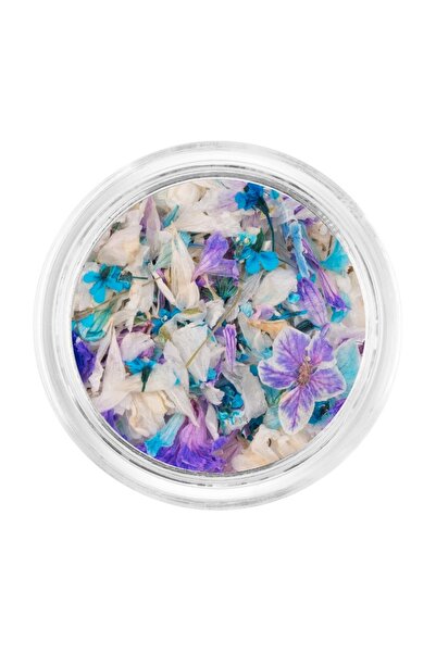 LUXORISE Flori Uscate pentru Unghii - Petală Cosmică