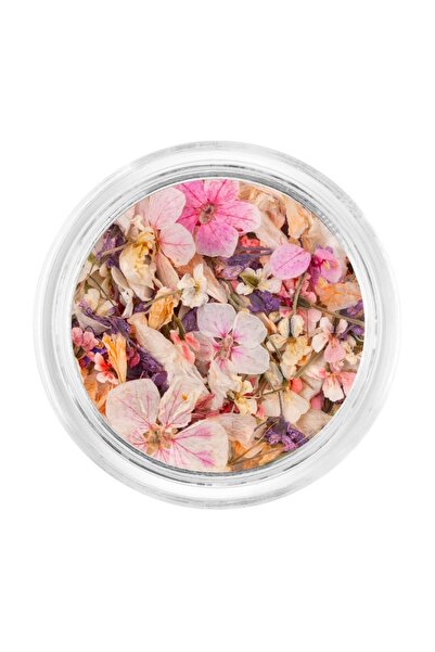 LUXORISE Flori Uscate pentru Unghii - Pajiște Magic
