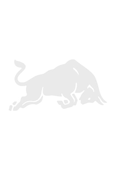 Oracal Resistant car sticker, bull, white, 20cm