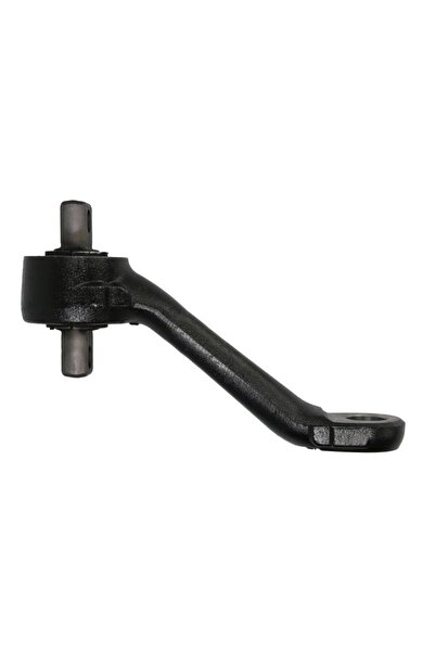 REINHOCH Vipera Brat Tendon Spate (l-280,5mm) Mercedes Capacity Citaro (o 530...