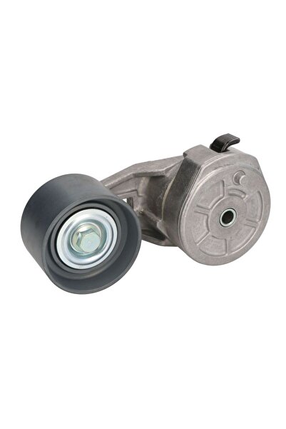 DAYCO Intinzator Curea Accesorii Mercedes Actros Actros MP2 / MP3 Citaro (o 5...