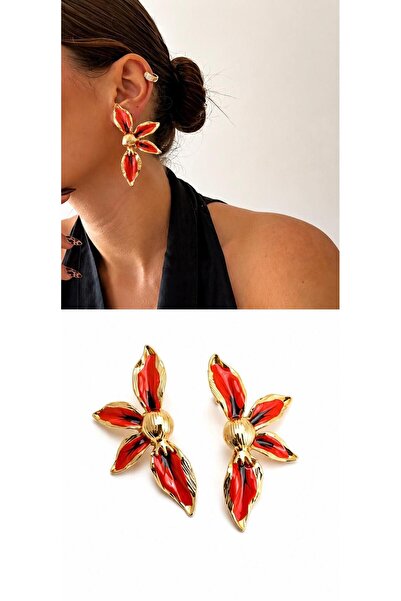 Store Divacharm Women's Stylish Design Earrings