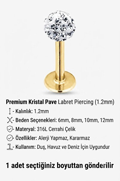 Blisse Piercing Cerrahi Çelik Dudak, Burun, Kulak, Lobe, Helix, Kıkırdak, Tra...