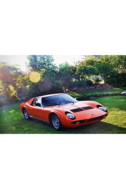 Persona Tablou canvas model Auto, 100 x70 cm, 196