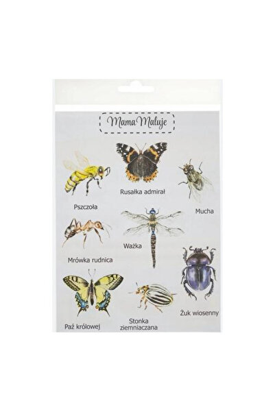 Mama Maluje Stickere decorative Mama Maluje, insecte, realistice, multicolor,...