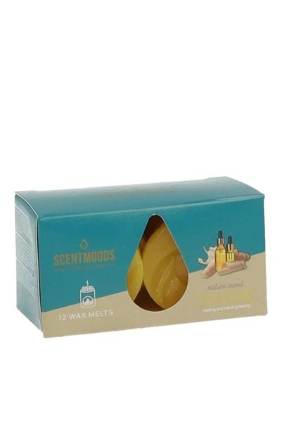 ScentMoods Wosch parfumat Musk Wood 12 pastile multicolor