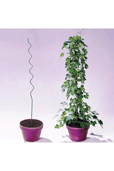 Genel Markalar Bitki Destek Çubuğu (Kancalı) 5 Adet 50 cm – Spiral Fide, Çiçe...