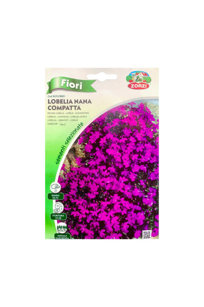 Generic Lobelia Nana Compacta Flower Seeds 5pact