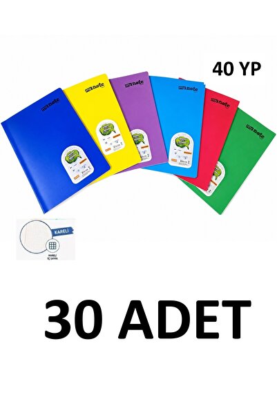 Mynote 30 Τεμάχια Α4 Κείμενο με Συρμάτινη Ραφή, 40 Φύλλα, Εξώφυλλο από PP, Κα...