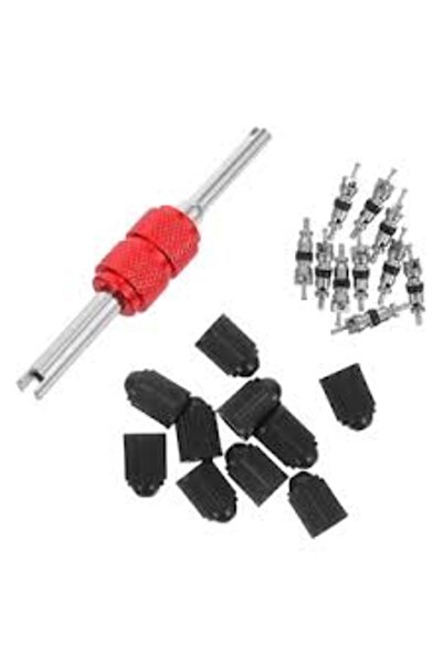 OEM Set de 10 ventile si 10 capacele roti pentru valva auto cu surubenlita in...