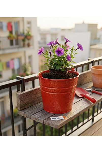 ÖZHEMMEKLER 5'li Metal Saksı Seti - Masaüstü ve Balkon Dekoratif Metal Saksı (18x13x15)