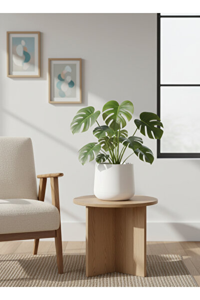 poliva home Atlas Saksı UV Dayanımlı – İç Ve Dış Mekan Dekoratif Plastik Saks...