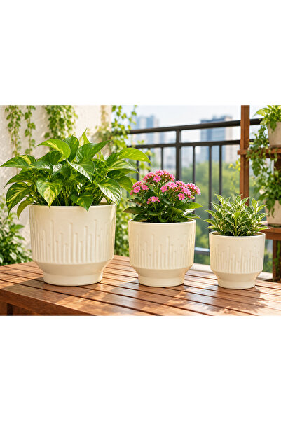 Lacoz 3-Piece Ceramic Flower Pot Set with Textured Design Decorative Indoor & Outdoor Planters for Succulents, Cactus, Herbs & Small Plants White