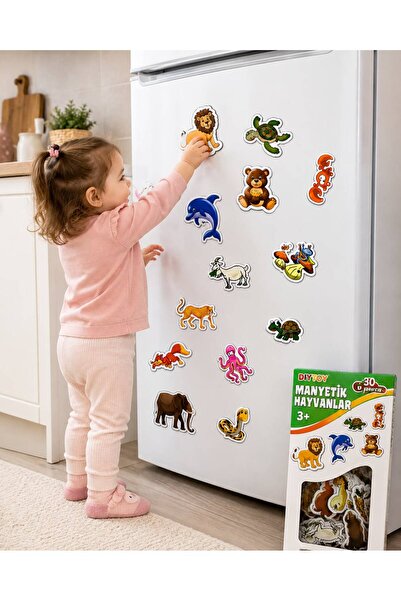 Arlina Home Kids Eğitici Manyetik Hayvanlarım