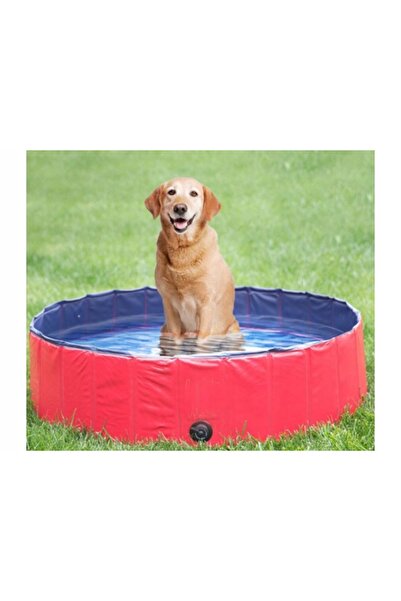 NO BRAND Bazin pentru animale PVC 80X20