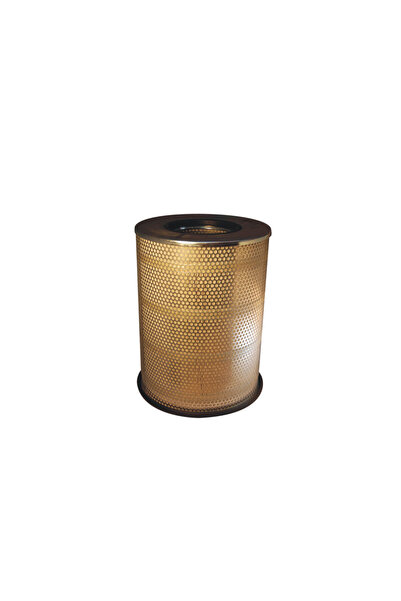 Filtron FILTRU DE AER